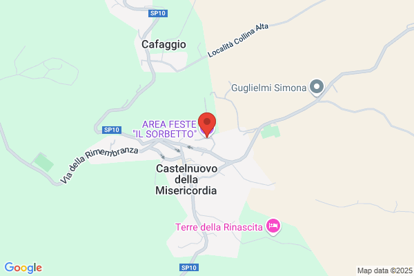 Mangifesta assunta
