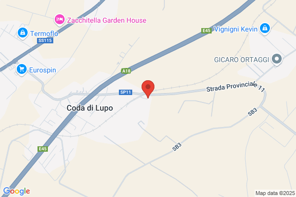 Spadola carmelo (Geom.)