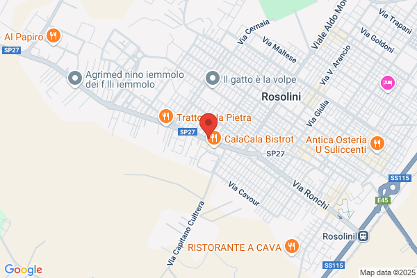 Criscione Salvatrice