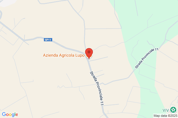 Lupo angelo