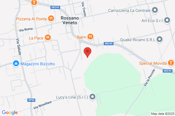 Wilier Triestina S.R.L.