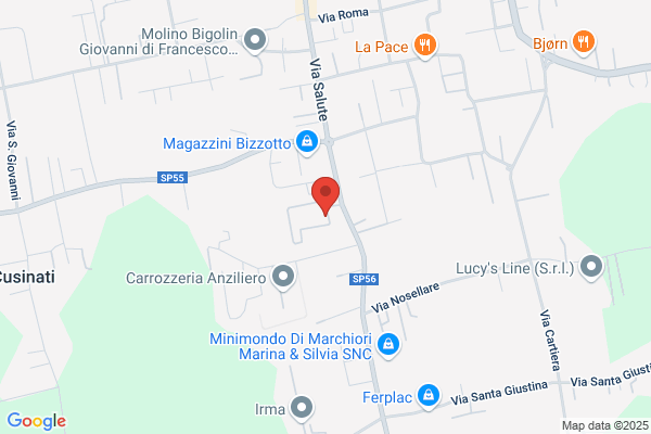 Alpes Manifattura Filati Spa