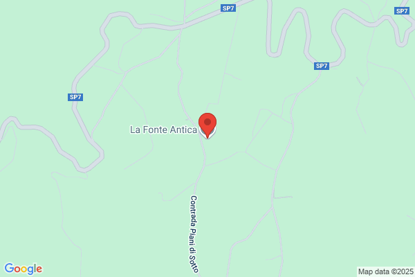 Fonte Antonio S.A.S.