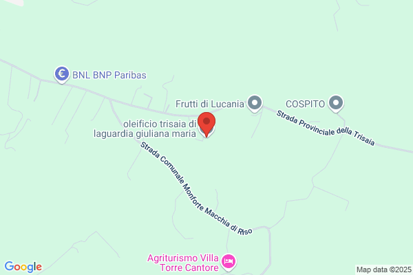 Oleificio Trisaia Di Laguardia Giuliana