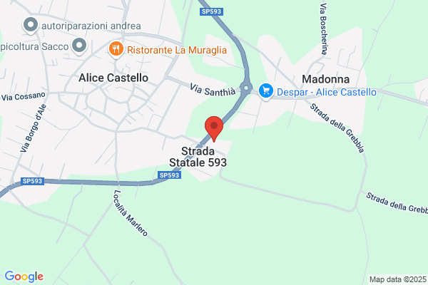 Auto Mec S.n.c. di Mazza Eraldo e Borghi Maurizio