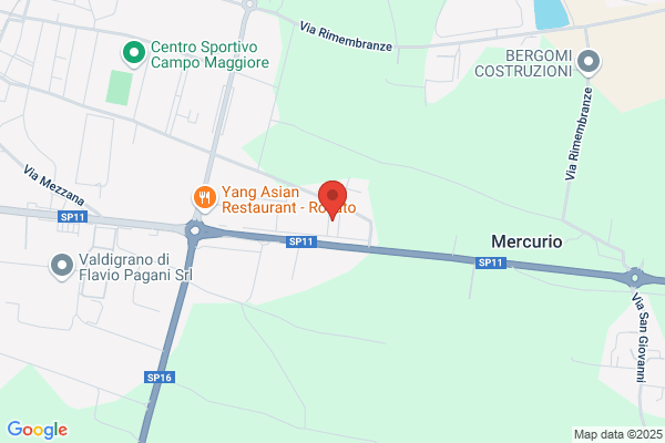 Gerardini Giulio (Rag.)