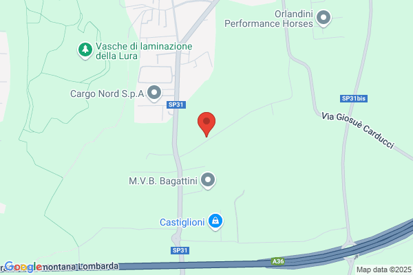 Verniciatura Lodini