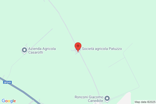 Patuzzo Guerrino E C.