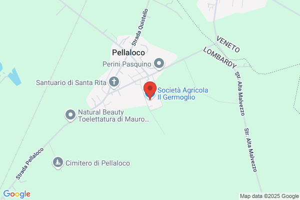 Galvani Anselmo