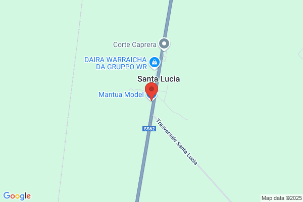 Mantua Model