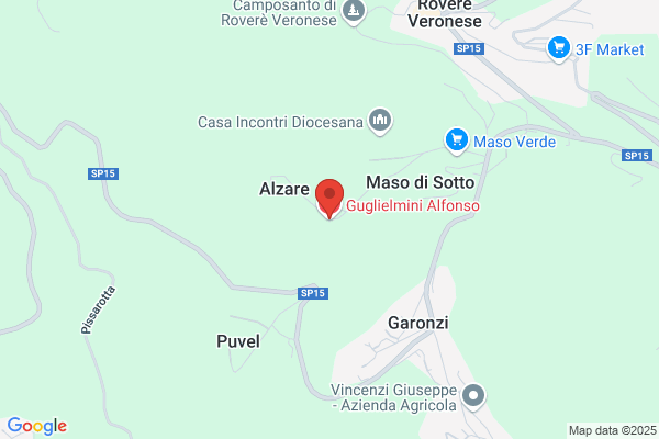 Guglielmini  Alfonso (Dr.)