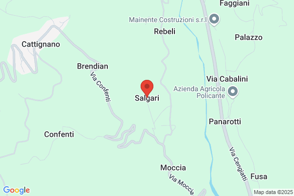 Salgari ilario