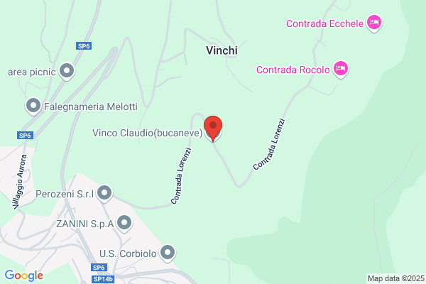 Vinco anna
