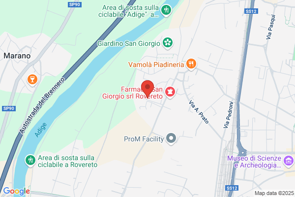 Scrinzi franco (Geologo)