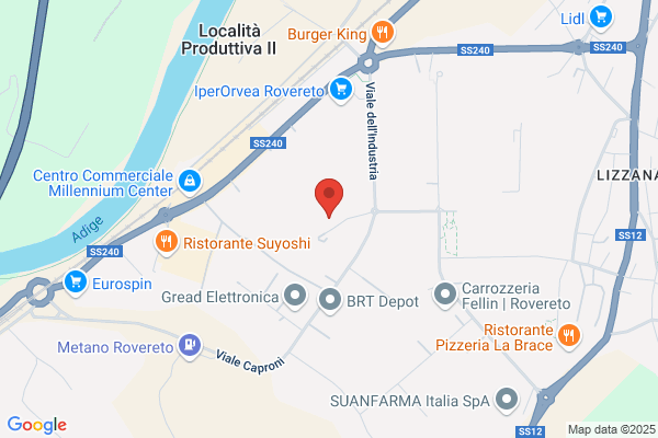 Fritsch Italia Srl