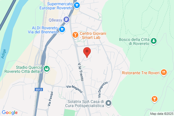 Ricci E Capricci Di Alovisi Mariapia