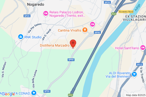 Distilleria Marzadro (S.P.A.)