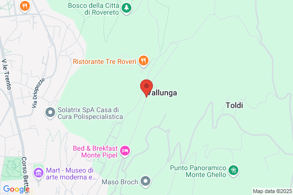 Valduga enrico