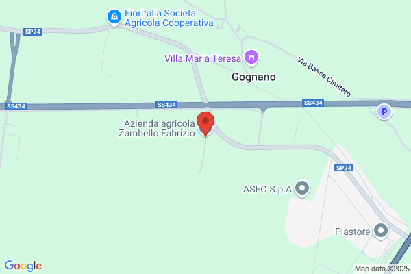 Zambello luigi (Dr.)