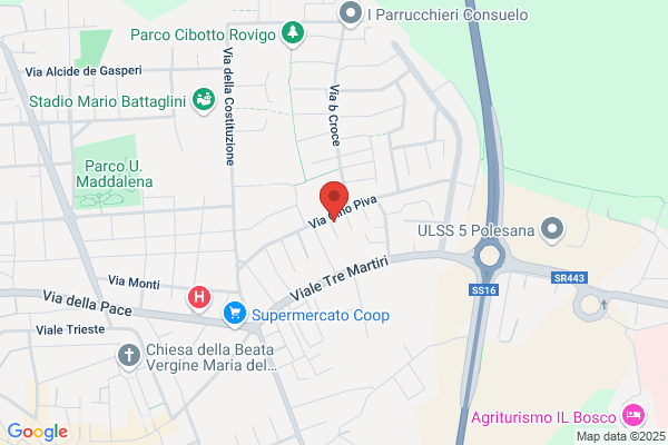 Paniccia emilio