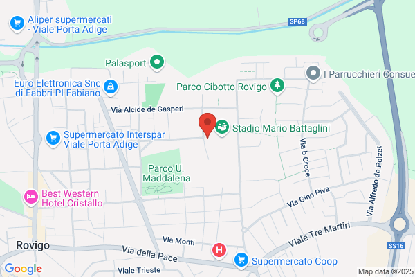 Rugby Club A.Milani Rovigo