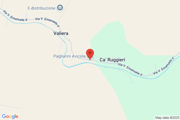 Pagliarini amedeo (Dr.)