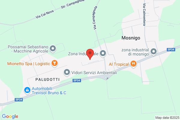 Zambon cesare