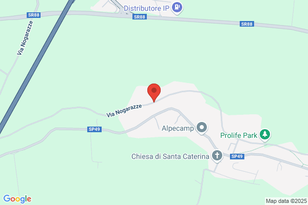 Rizzi A. Stabilimento Floreale Polesano