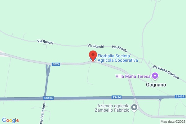Fioritalia Scarl