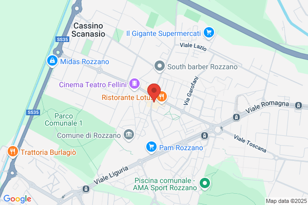 Partito Democratico Della Sinistra