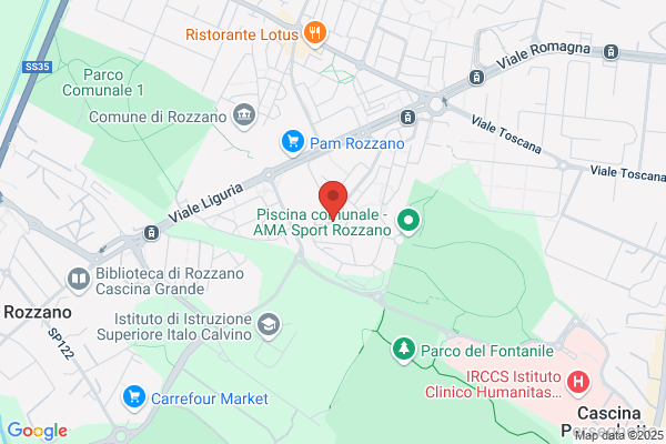 Partito Democratico Della Sinistra