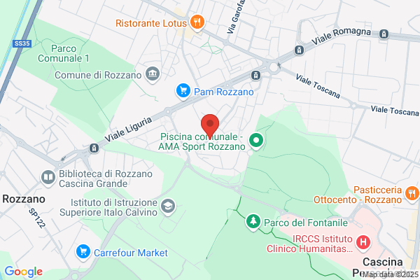 Maffezzoni ida Maria