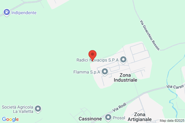 Raimo Trasporti S.A.S. Di Raimo Bruno
