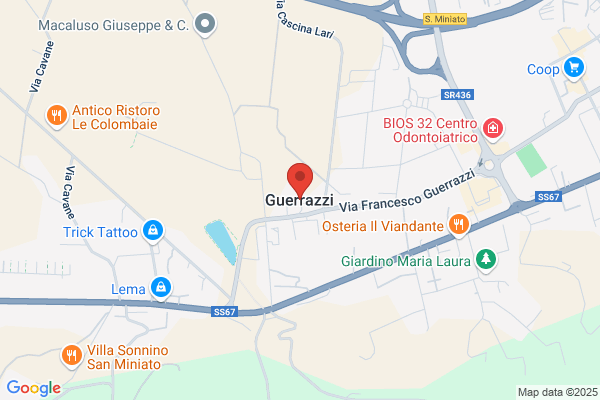 Guerrazzi Michele