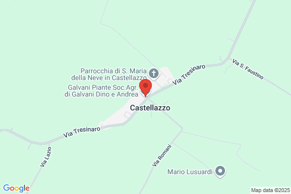 Galvani Piante