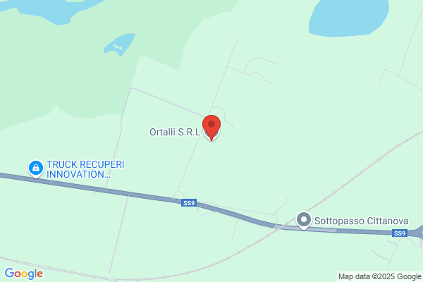 Ortalli S.R.L