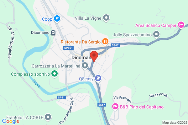 Manzoni domenico
