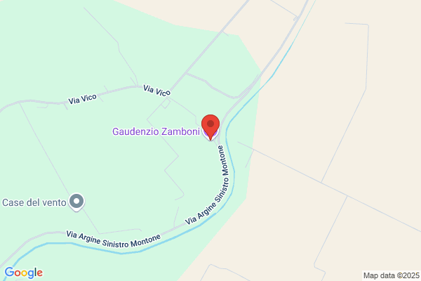 Zamboni Gaudenzio