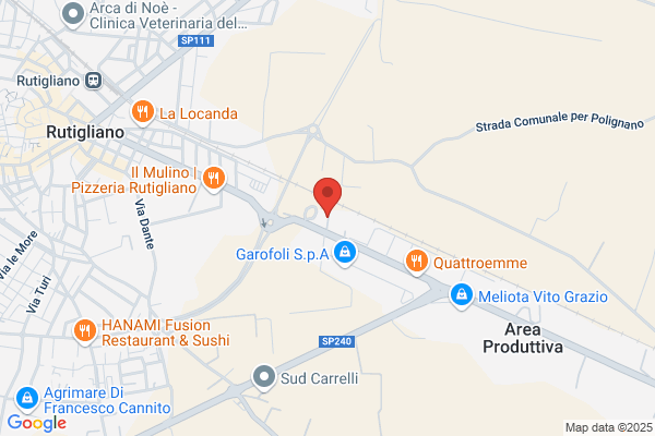 Liceo Scientifico Statale E. Majorana