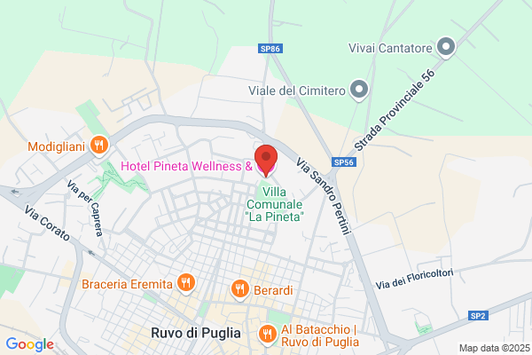 Hotel Pineta S R L