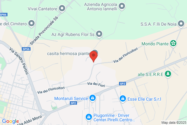 Euroauto Di Vito De Palo