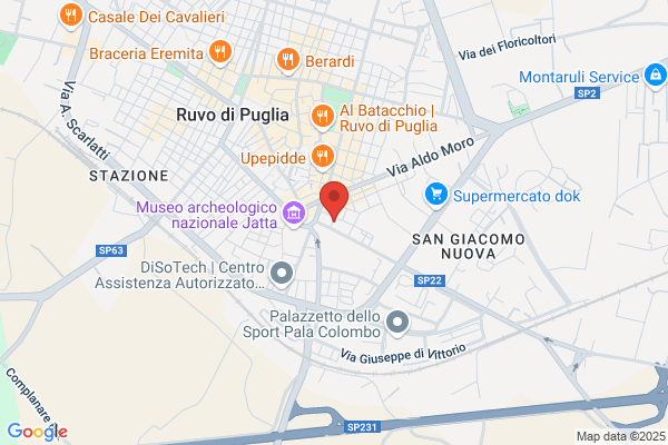Softel Di Gramegna & C. (S.A.S.)