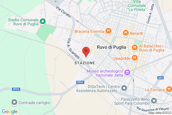 Nuova Pa.Gi. S.A.S. Di Nicolo De Pinto & c.