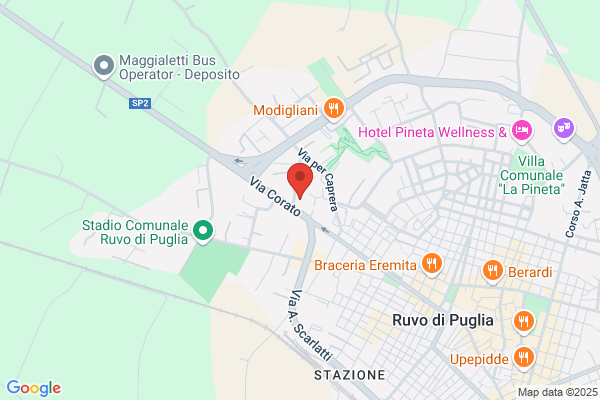 Polizia Municipale