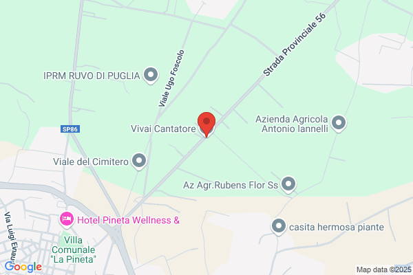 Cantatore vincenzo