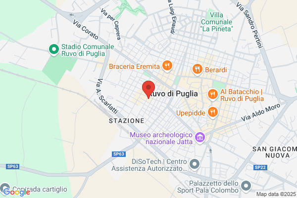 Partito Della Rifondazione Comunista
