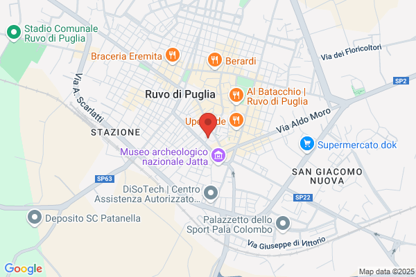 Partito Democratico Della Sinistra