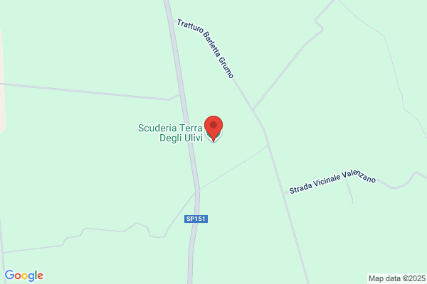 Fattoria Terra degli Ulivi