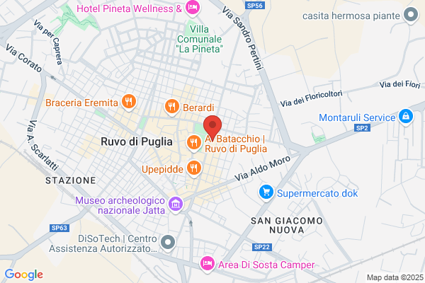 Polvino Gest Srl