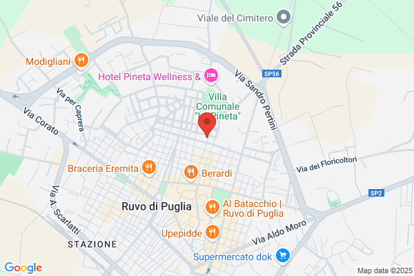 Il Telo Di Altamura Vincenzo